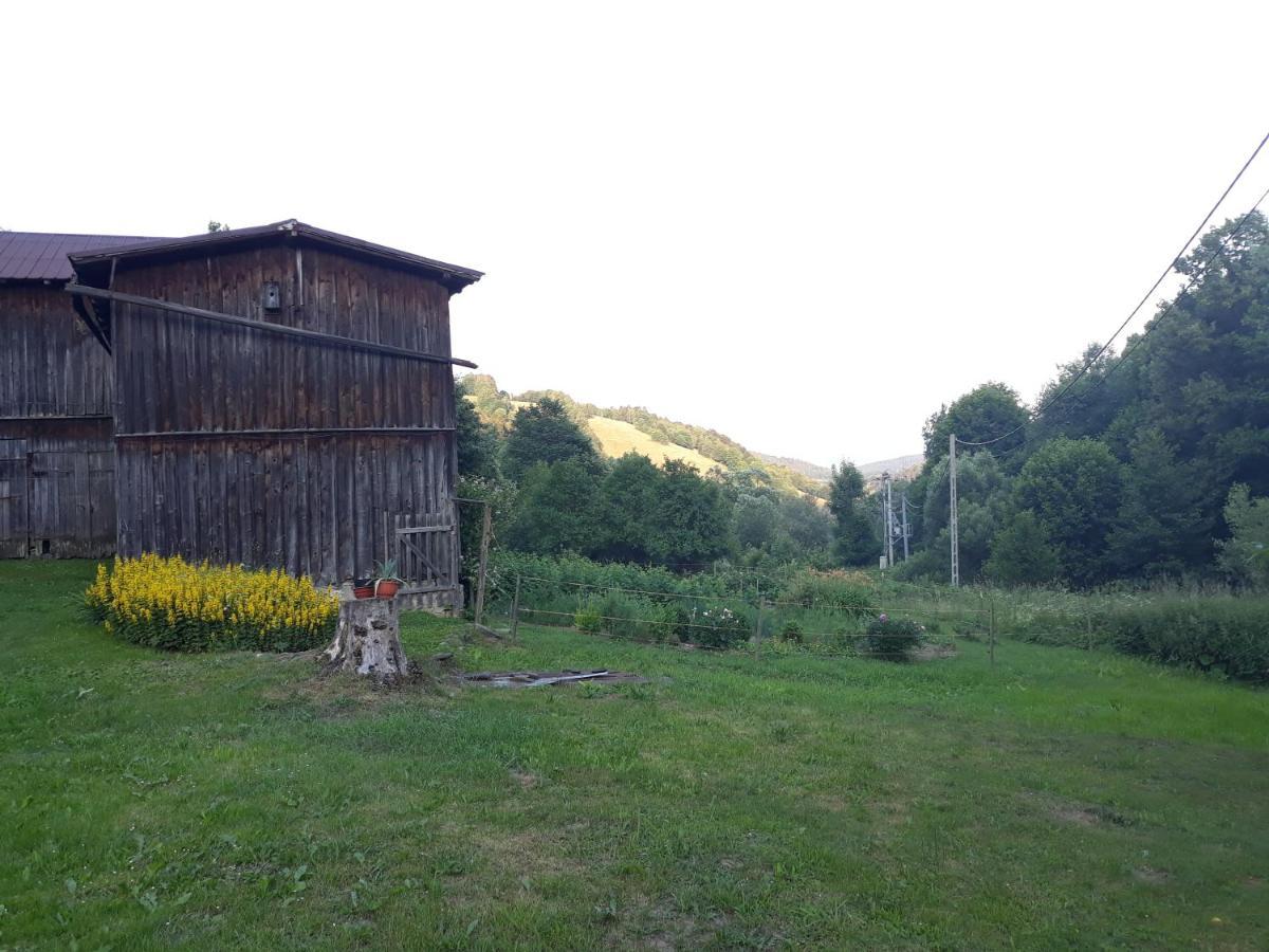 Pokoje Goscinne Thank You Life, Apartament 2 Forest For Rest Бистрица Клодска Екстериор снимка